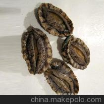 【青島直銷 海鮮 鮑魚 海鮮批發 鮑魚批發【圖】】價格,廠家,圖片,鮮活/冷凍水產,青島旺福魚鄉水產品-