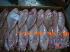 青島進口海鮮清關代理公司 生產廠家、價格與海鮮進口全解析